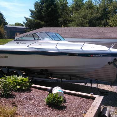 1993 Rinker fiesta 230