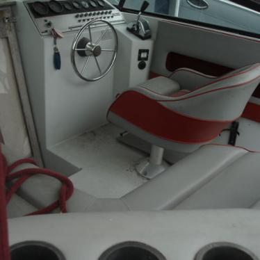 1987 Rinker fiesta vee 250