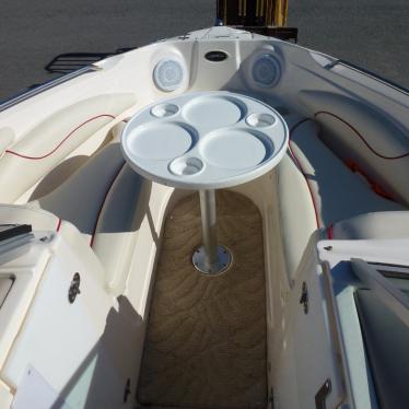 2006 Rinker mganum 350