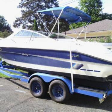 Sea Ray 220 Overnighter Signature Series 1995 for sale for $9,000 ...