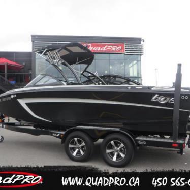 2013 Tige r20 wake surf