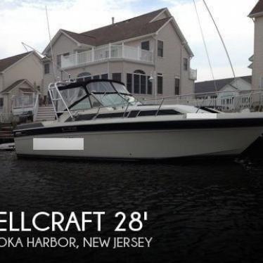 1980 Wellcraft suncruiser 288