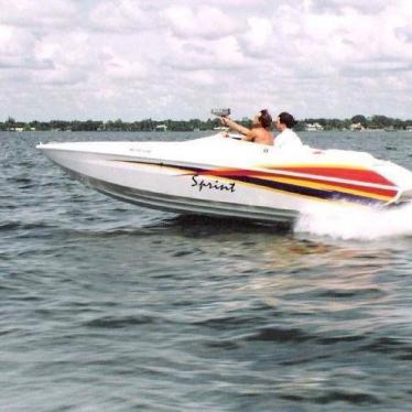 WELLCRAFT SCARAB &quot;SPRINT&quot; 1994