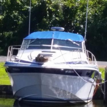 1982 Wellcraft 310 suncruiser