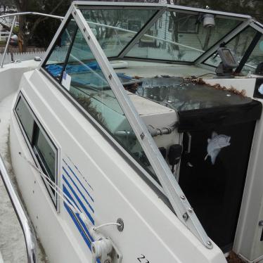 1989 Wellcraft coastal 230