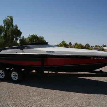 1989 Wellcraft scarab