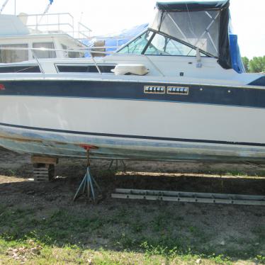 1986 Wellcraft 29' express cruiser