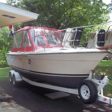 1982 Wellcraft 248fisherman