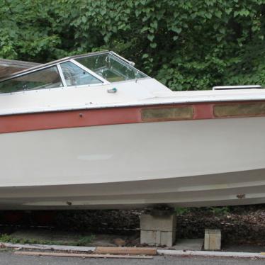 Wellcraft Scarab 300 1977 For Sale For $3,000 - Boats-from-usa.com