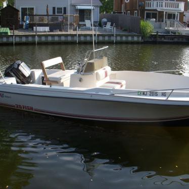 1990 Wellcraft 20 fish