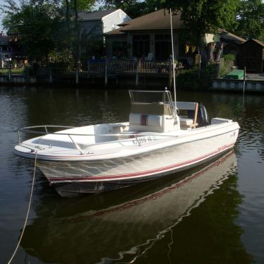 1990 Wellcraft 20 fish