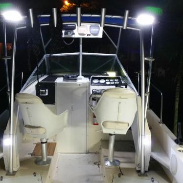 1987 Wellcraft coastal