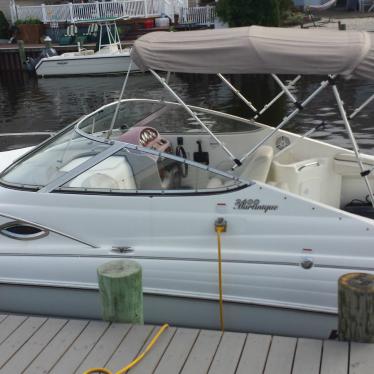 2002 Wellcraft 2400 martinique