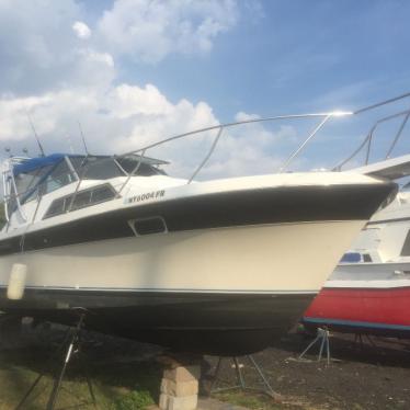 1984 Wellcraft costal 3200