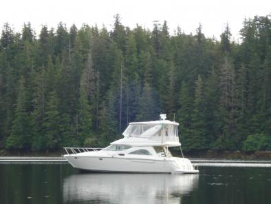 Maxum 4600 SCB Limited Edition 2001