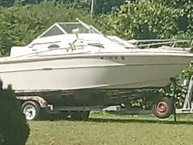 1974 Sea Ray 19ft boat