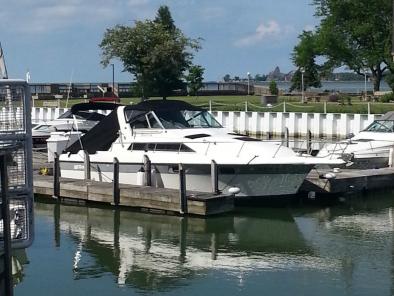 Cruisers 291 Sea Devil 1986