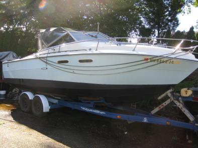 1973 Sea Ray 18ft boat