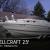 2002 Wellcraft 2400 martinique