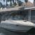 2006 Sea Ray 250 amberjack