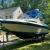 1989 Sea Ray sundancer 250