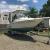 1995 Sea Ray sundancer 340