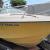 1978 Wellcraft 19ft boat