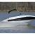 2013 Bayliner 185