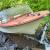 1965 Starcraft 18ft boat