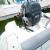 2017 Sea Ray sdx220outboard