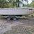 1975 Sea Ray 22ft boat