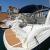 2006 Sea Ray 340 sundancer