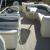 2007 Bennington 2050fsipontoon