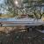 1990 Bayliner 16ft boat